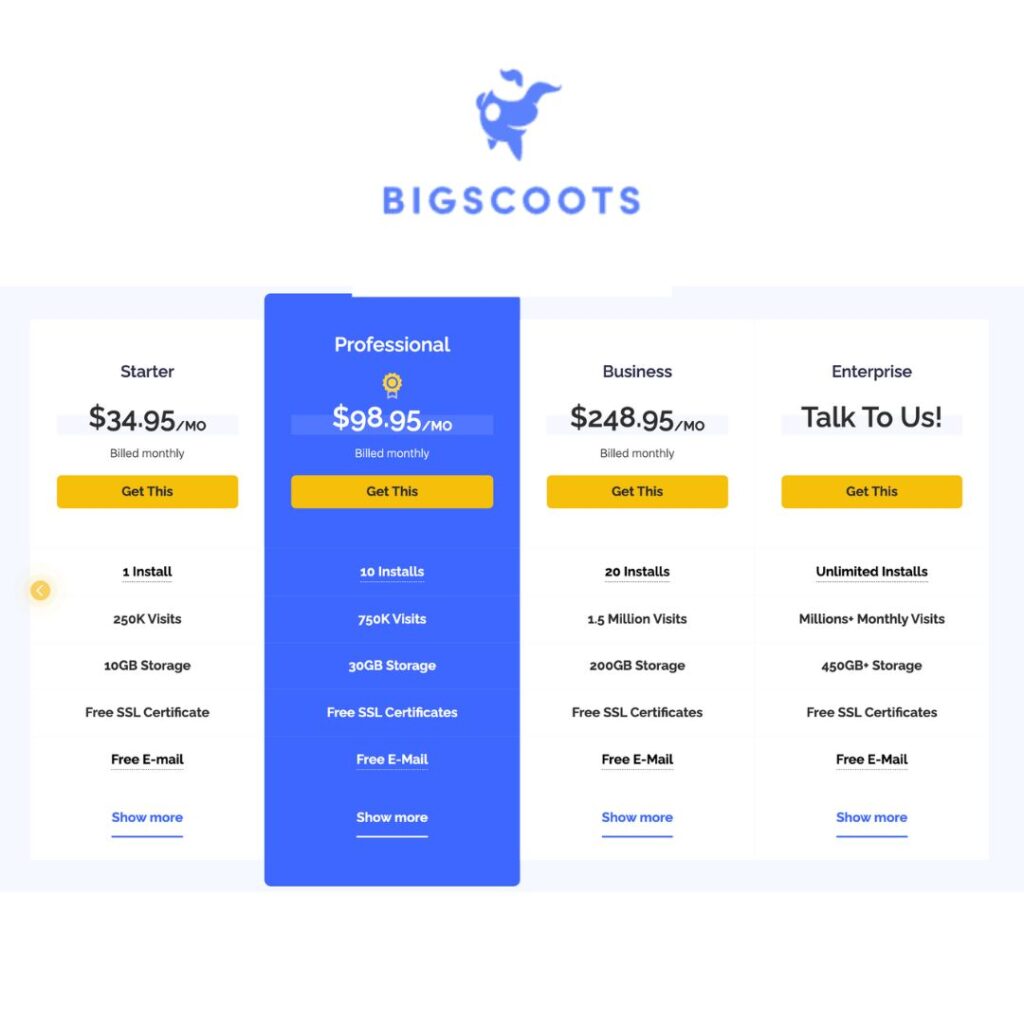 bigscoots pricing